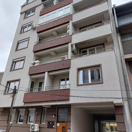 Cozy Apartment In The City Center スコピエ エクステリア 写真