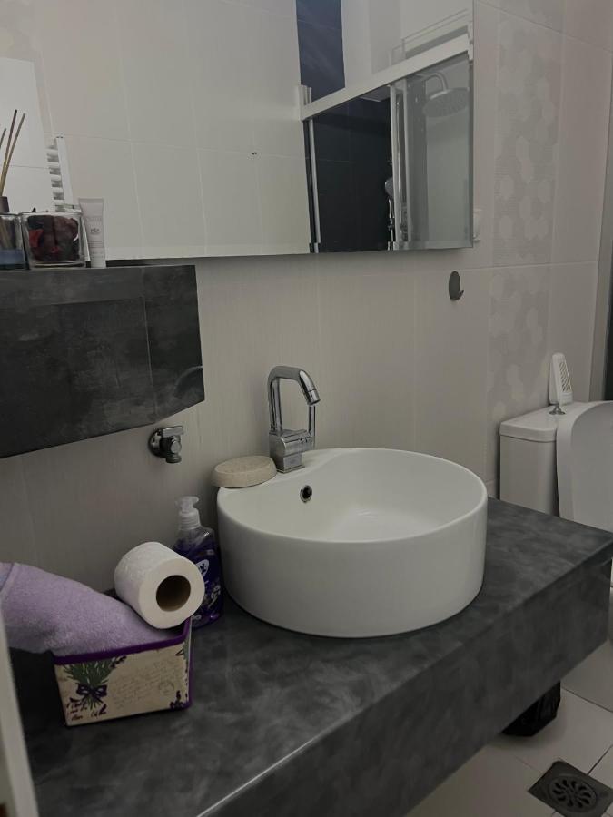 Cozy Apartment In The City Center スコピエ エクステリア 写真